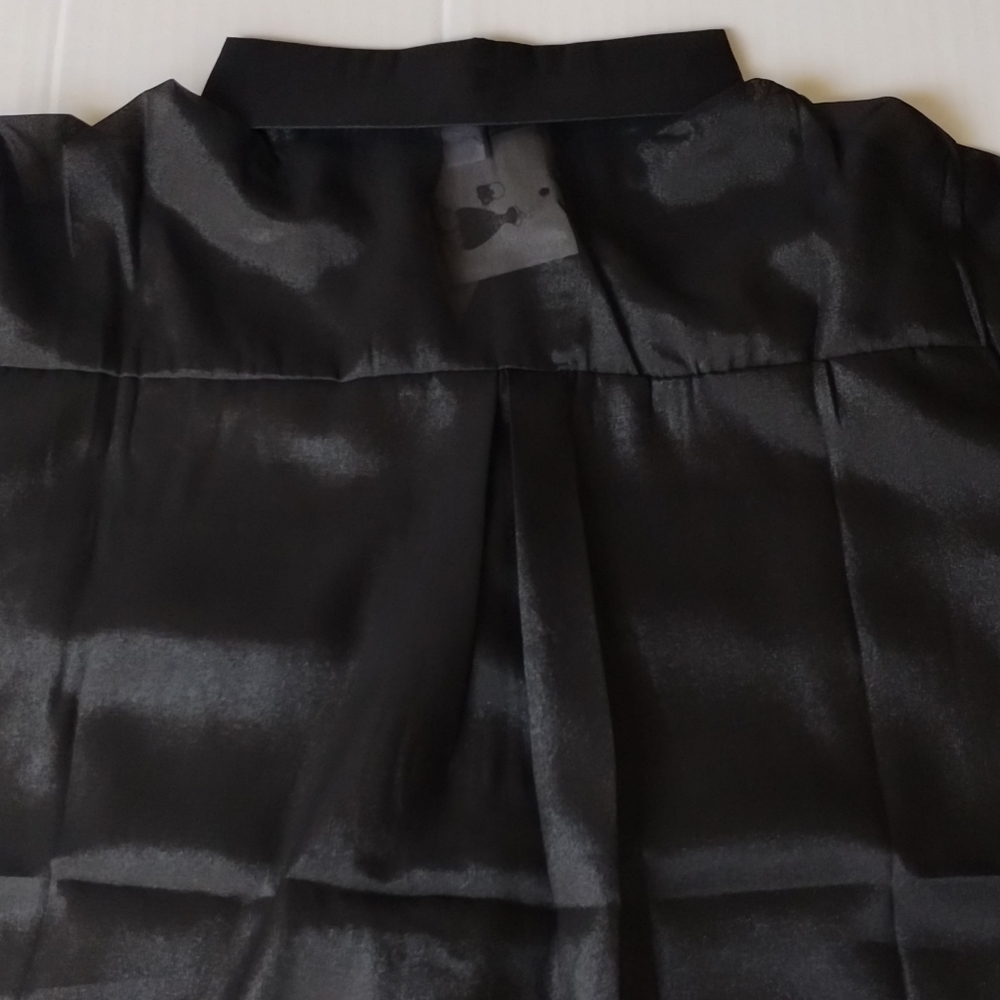 Sheer Blouse - Picture 4 of 8